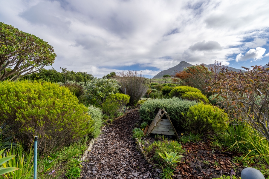 To Let 3 Bedroom Property for Rent in Lake Michelle Western Cape